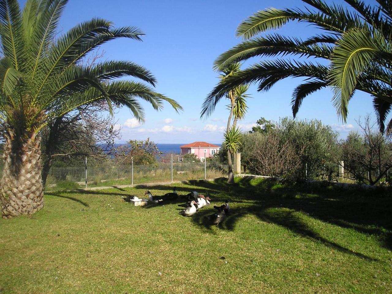 Nikolaos Studios Skala Skala  Bagian luar foto